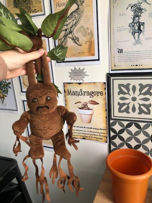 Maison Harry Potter Pour 6 Personnes En Centre Ville Montauban Buitenkant foto